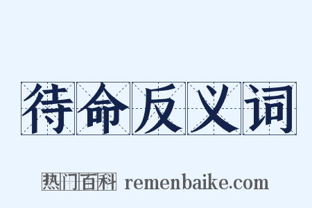 待命反义词是什么意思的图片